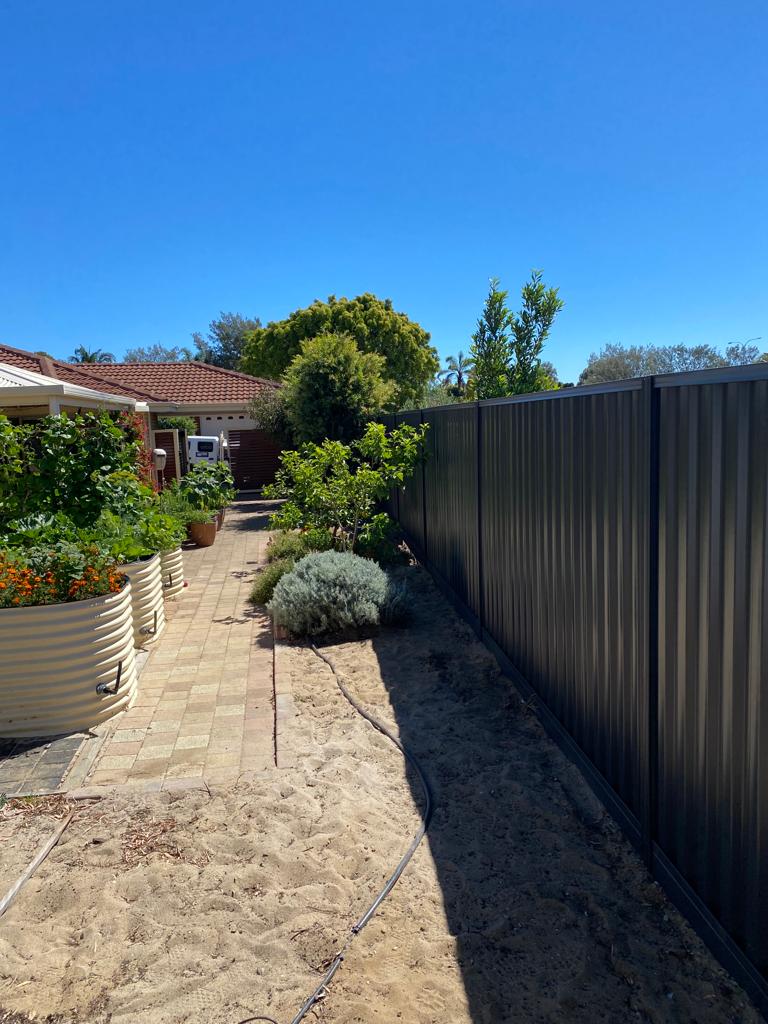 green Colorbond  wall fence