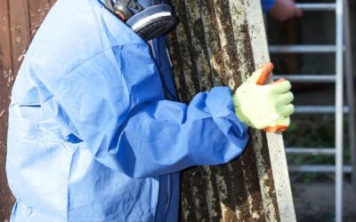 When Should I Consider Asbestos Fence Removal?