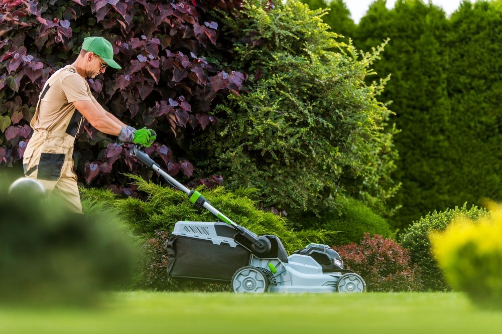 The Benefits of Hiring a Professional Landscape Contractor
